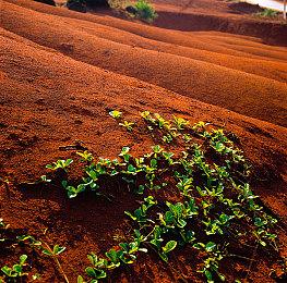 《游戏王OCG》25周年纪念邮票公布 附赠浮世绘版QCSER青眼白龙卡牌